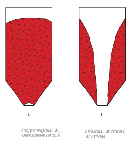 Ionoonoaea iioiea